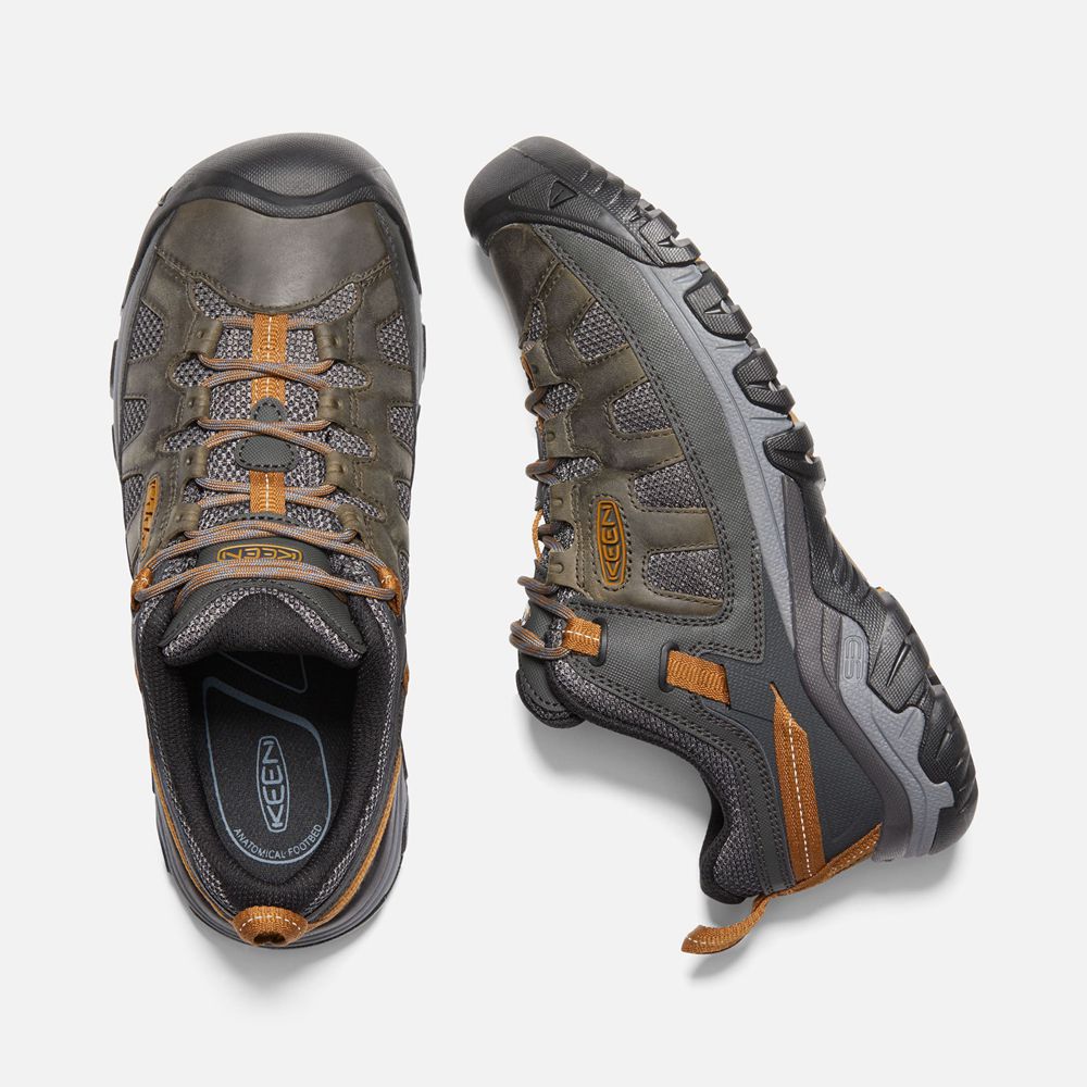 Keen Wandelschoenen Heren Zwart Bruin - Targhee Vent - 48976-ZYKV